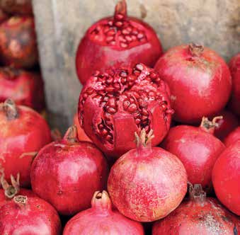 pomgranate
