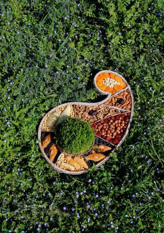 Хонча в виде бута 