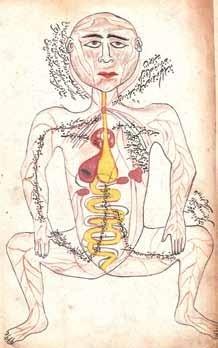 Human skeleton in the manuscript of “Risaleyi-Tashrih” By Mansur ibn Muhammad. Copied on 17th AD and in 1143 AD. Collection of the Institute of Manuscripts of ANAS.