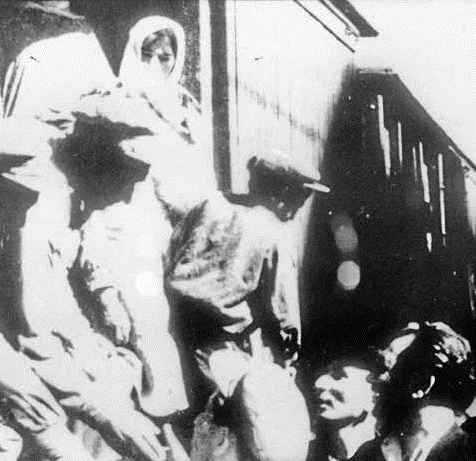 Массовое принудительное переселение азербайджанцев из Армении. 1948 г.